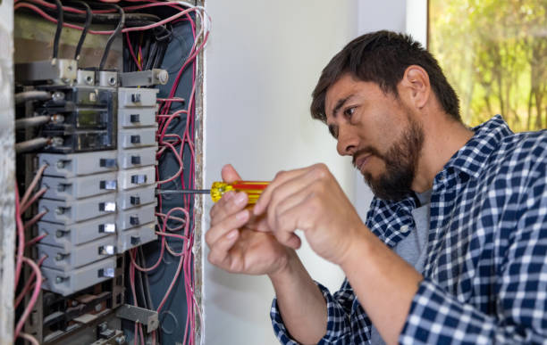 Best Electric Panel Repair  in Bardonia, NY